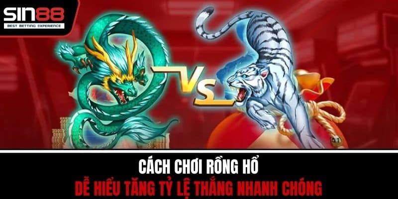 Cách Chơi Rồng Hổ Dễ Hiểu Tăng Tỷ Lệ Thắng Nhanh Chóng